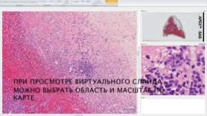 Сканер MECO-SCAN для гистологии, цитологии, биожидкостей