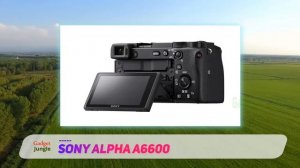 Sony Alpha A6600 Review - The Best Mirrorless Cameras in 2021