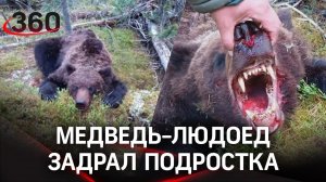 Медведь съел подростка-шерпа в красноярском лесу. Охотоведы: люди сами прикормили хищников
