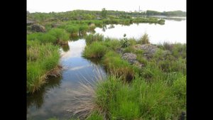 КНР. Удалянчи.  ВУЛКАНИЧЕСКОЕ ПОЛЕ
