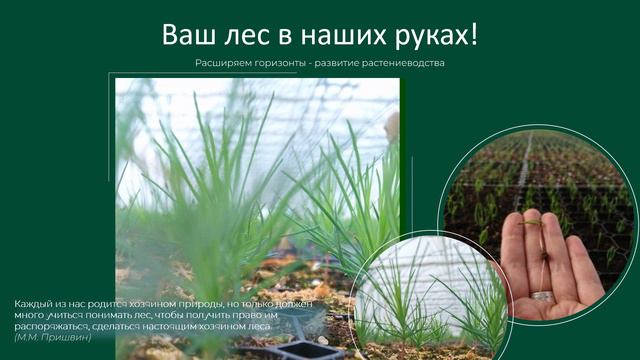 СЕРВИСТА - Растениеводство