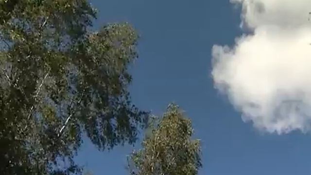 Город солнца.mp4 смотреть онлайн