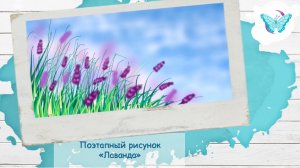 Поэтапный рисунок «Лаванда»