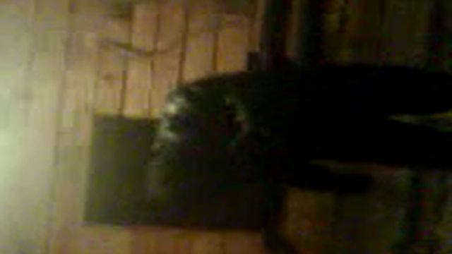 ВДВ бьёт бутылки смотреть онлайн