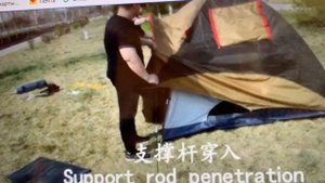 Палатка 4-х местная ART-1903 TRAVELTOP, (130 + 220) х 240 х h180 см