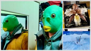 К нам приехал в гости ужас. Владик опять все сломал! Встреча с подругой на выставке Мир Камня