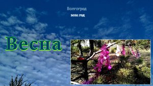 Волгоград Весна 2021 #мой_город #прогулки_по_городу #Центральный_район #настроение