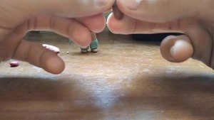 как сделать шередера из пластилина