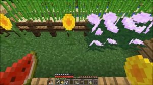 Minecraft 335 # Den Vorgarten beflanzen