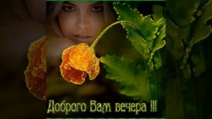 Привет🤗Чудесного вечера🌺