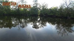 Тест ультралайта на реке. Чудо воблопопер.