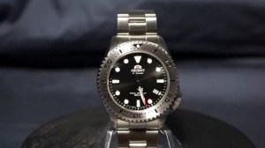 Orient Triton RA-AC0K01B10B | SKX or This?