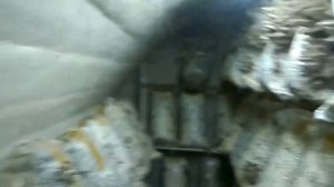 выращиваем грибы в подвале часть 2