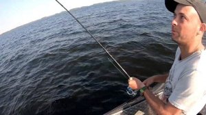 Окунь, щука, судак, форель! Воблер универсал? Рыбалка в Карелии на Онежском озере.