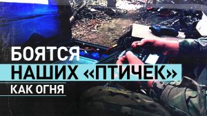 Эксклюзив из курского приграничья: как российские бойцы готовят FPV-дроны для ударов по ВСУ