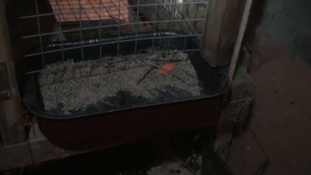 Клетка для кролика, с маточником, доработка смотреть онлайн