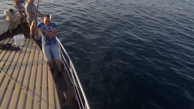ЯЛТА РЫБАЛКА ЧЕРНОМОРСКИЙ ЛУФАРЬ /Крым
