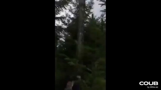 Шоколадный камнепад