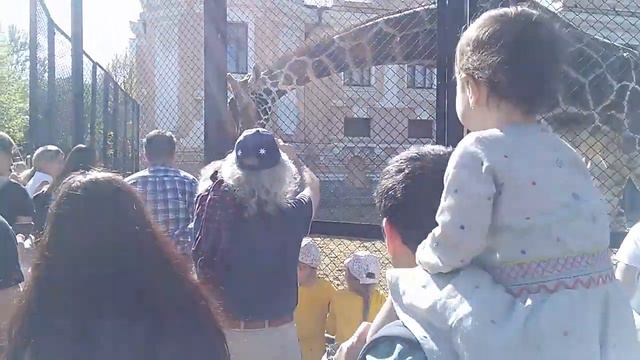 Самсон Гамлетович и Юрий Викторович смотреть онлайн