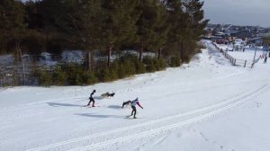 Лыжня России, лыжники с собаками, Полевской