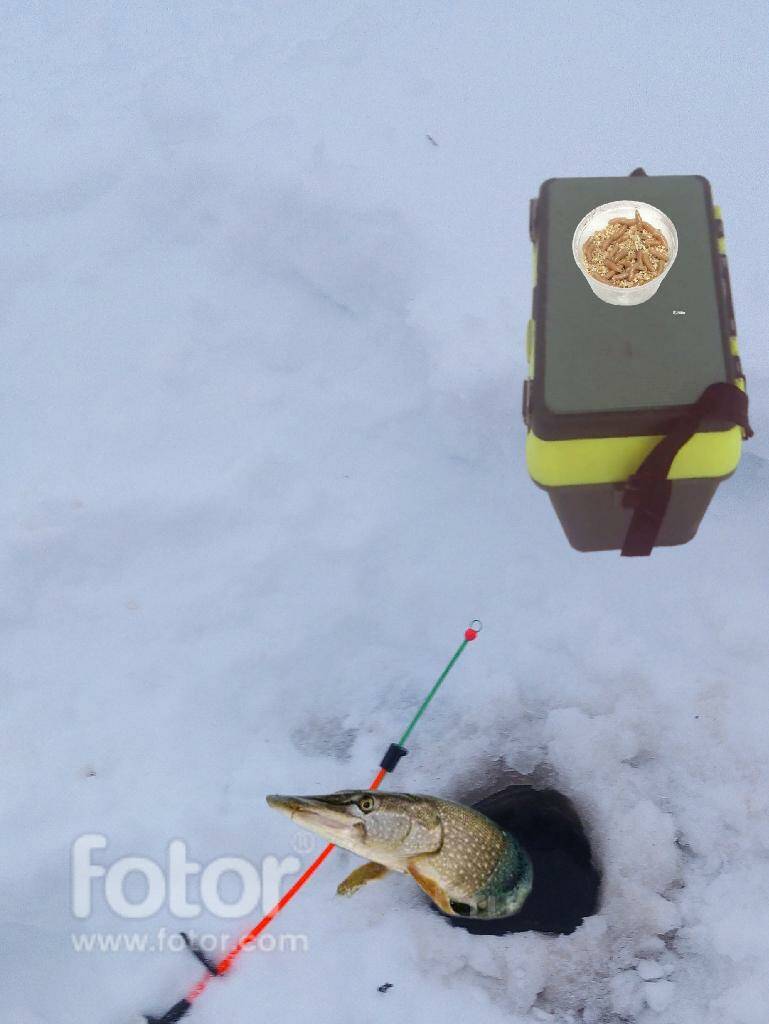 Зимняя рыбалка.