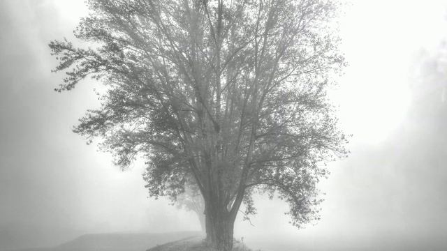 Футаж. Осенний пейзаж 22 Footage. Autumn landscape 22 смотреть онлайн