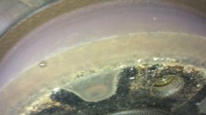 Стук в переднем ступичном подшипнике при изменении направления движения