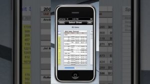 Excel Editing Sneak Peek - Documents To Go iPhone