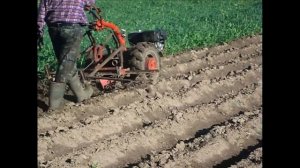 Слепое окучивание  Борьба с сорняками Сетчатая борона