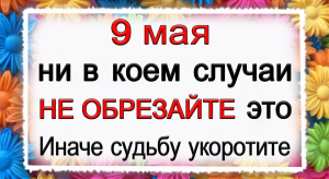 9 мая Глафира Горошница, что нельзя делать. Народные традиции и приметы.