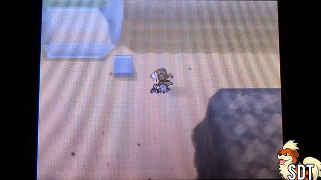 How to Catch Trapinch - Pokemon Black 2 and White 2 смотреть онлайн