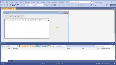 RDLC reports in Visual Studio 2019 (C# Code)