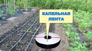 Капельный Полив От Производителя