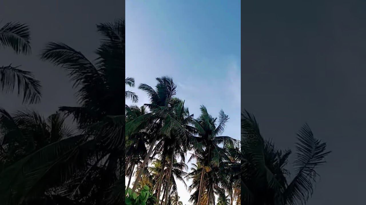 Boracay Island ️#philippines #filipinos #филиппины #боракай #pilipinas #travel2023 #asia #ocean смотреть онлайн