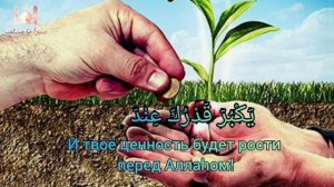 секрет между тобой и Аллахом Нашид с переводом