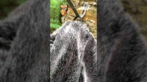 Мультитул из Ратника 6э6 не берите!!!