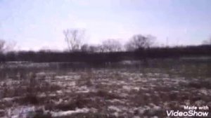 КАБАНЫ КОП В ПРИМОРСКОМ КРАЕ г  Артем Металлоискатель,Поиск КОП в Лесу