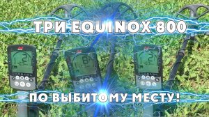 EQUINOX 800 по выбитому месту.