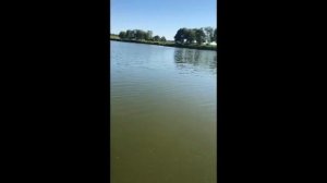 Рыбалка в Судосево.