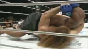 категория супер тяжёлый вес в ММА