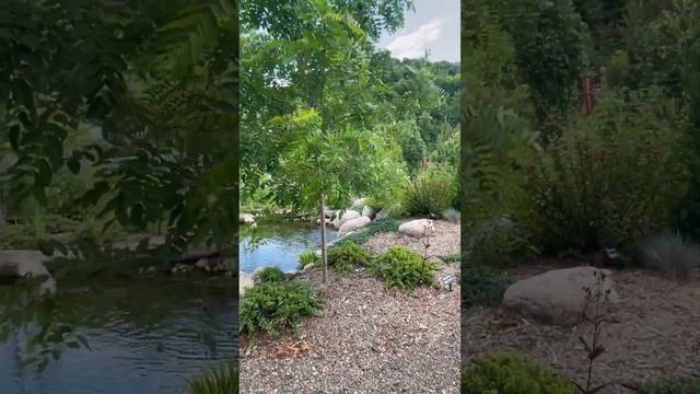 Extraordinary Landscape staging at Second Nature at Reads Creek Nursery Readstown, WI