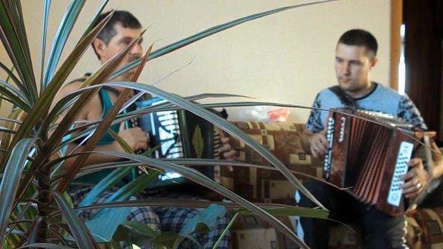 Спят курганы темные на гармошке