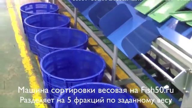 Машина весовой сортировки поточная смотреть онлайн