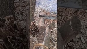 бензопила дружба 4 электрон пилим дрова