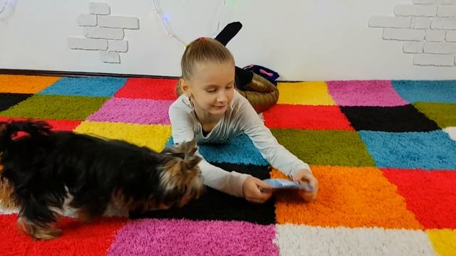 ВЫЗОВ ПРИНЯТ ✅ Самый ДЕРЗКИЙ вызов для Николь / Вызовы с Майклом? смотреть онлайн