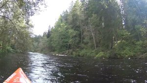 На байдарке по Оредежу от Сиверского до Вырицы