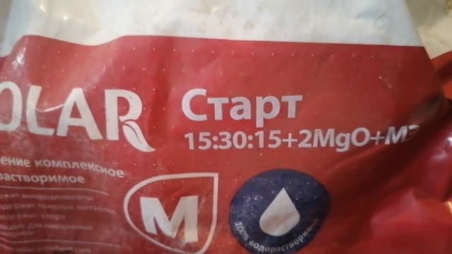 Подкормка клубники по листу. Апрель 2021. Развитие саженцев винограда и ежевики. смотреть онлайн