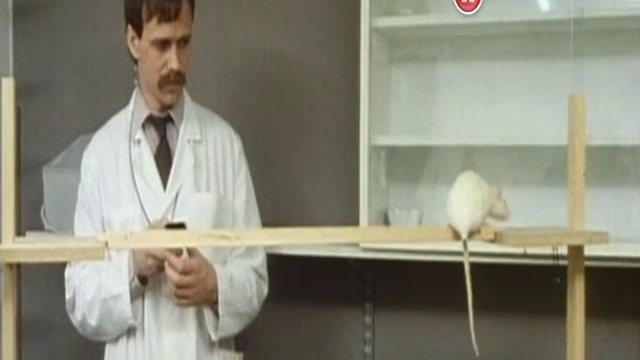  Как Увеличить