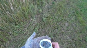 НАЧАЛ КОПАТЬ ТАМ ОТКУДА ВЫПРЫГНУЛА ЛЯГУШКА И НАШЁЛ! Коп с мд Gold Hunter Frogman B75