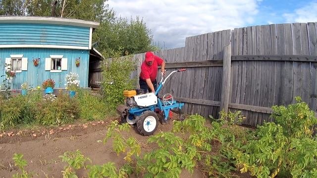 Картофелекопалка  самокопалка